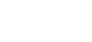 Penguin Ocean Leisure